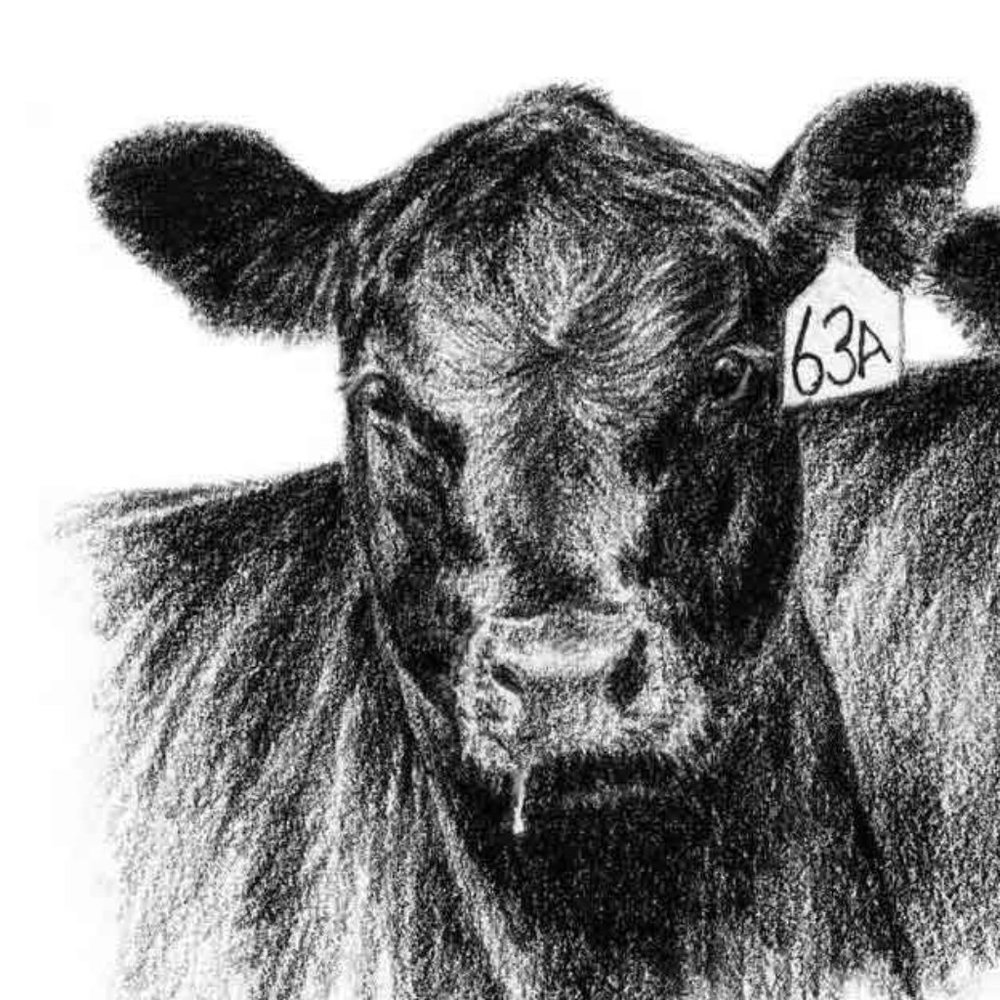 Meet your Posher